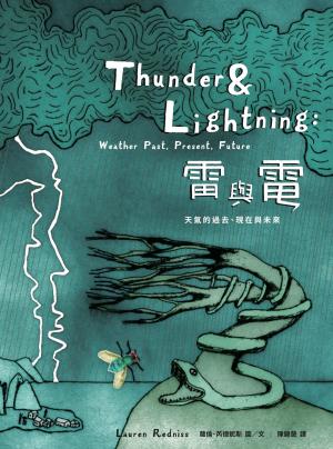 bigCover of the book 雷與電：天氣的過去、現在與未來 by 