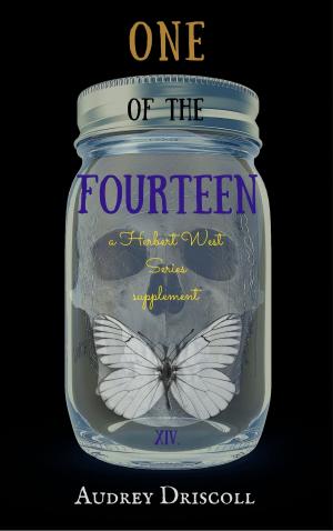 Cover of the book One of the Fourteen by Lynette Washington
