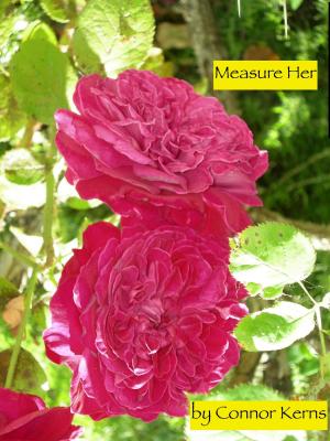 Cover of the book Measure Her by Valarie Vine