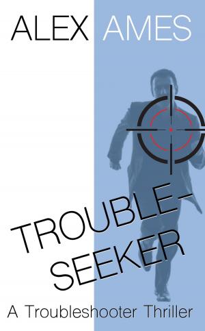 Book cover of Troubleseeker