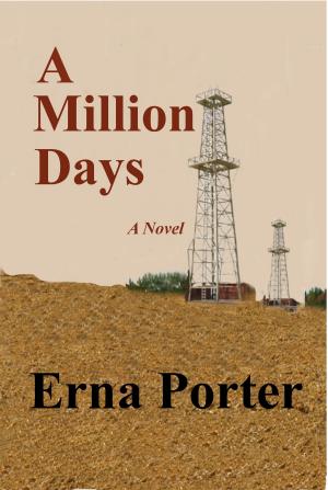Book cover of A Million Days