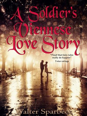 Cover of the book A Soldiers Viennese Love Story by Emily Hipchen