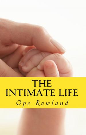 bigCover of the book The Intimate Life by 