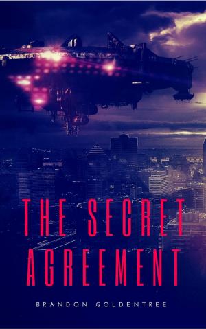 Cover of the book The Secret Agreement by Dan Van Casteele