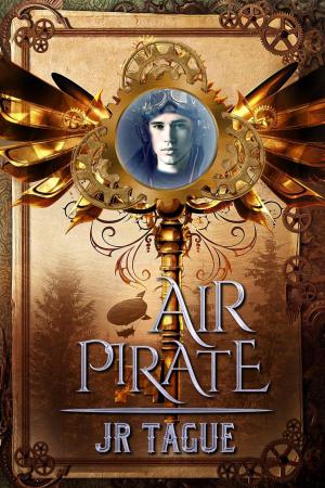 Cover of the book Air Pirate by Matthew Farmer
