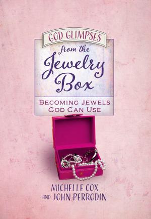 Cover of the book God Glimpses from the Jewelry Box by Alex McFarland, Jason Jimenez