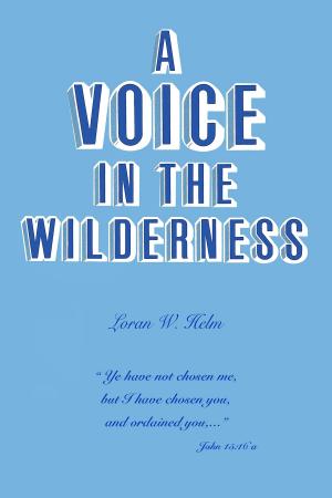 Cover of the book A Voice in the Wilderness by Karen Szillat