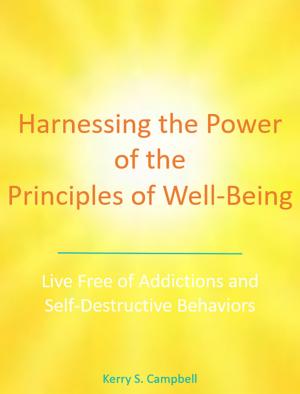 Cover of the book Harnessing the Power of the Principles of Well-Being by Jonathan Agronsky