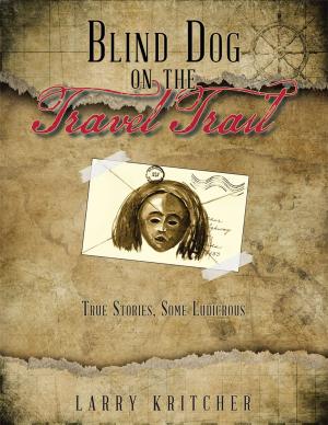 Cover of the book Blind Dog on the Travel Trail by Joseph Gorski
