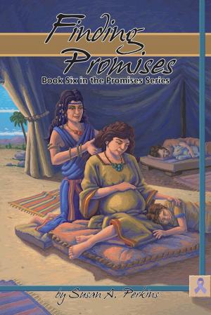 Cover of the book Finding Promises by R. E. GARBER Jr.