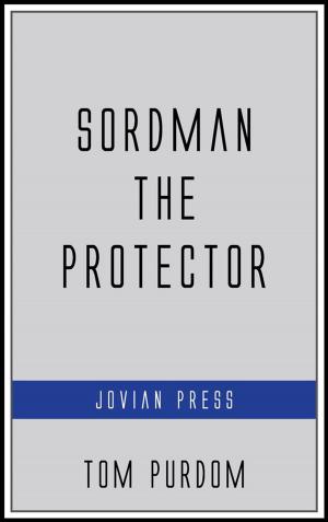 Book cover of Sordman the Protector