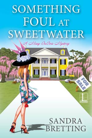 Cover of the book Something Foul at Sweetwater by Lynne Connolly
