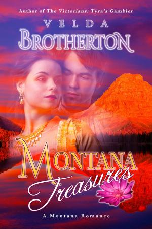 Cover of the book Montana Treasures by Julie Gouraud, Adrien Marie