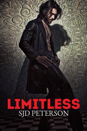 Cover of the book Limitless by Nicki Bennett, Ariel Tachna