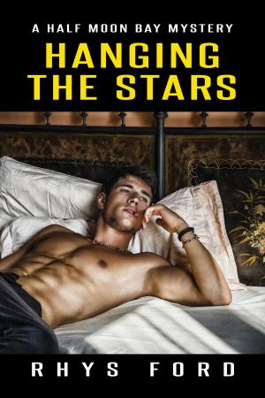 Cover of the book Hanging the Stars by BA Tortuga