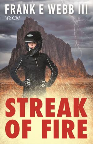 bigCover of the book Streak of Fire by 