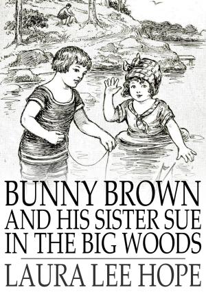 Cover of the book Bunny Brown and His Sister Sue in the Big Woods by 