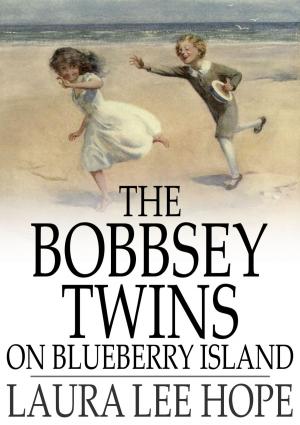 Cover of the book The Bobbsey Twins on Blueberry Island by Theron Q. Dumont