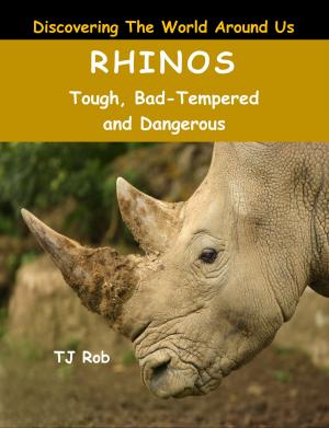 bigCover of the book Rhinos by 