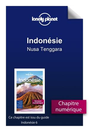 Cover of the book Indonésie - Nusa Tenggara by Jean-Joseph JULAUD