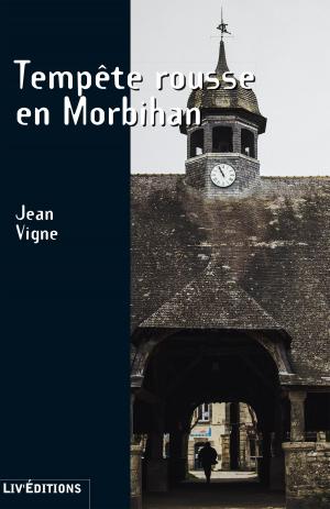 Cover of the book Tempête rousse en Morbihan by Denis Bermond