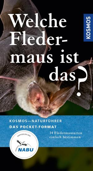 Cover of the book Welche Fledermaus ist das? by Wolfgang Dreyer, Eva-Maria Dreyer