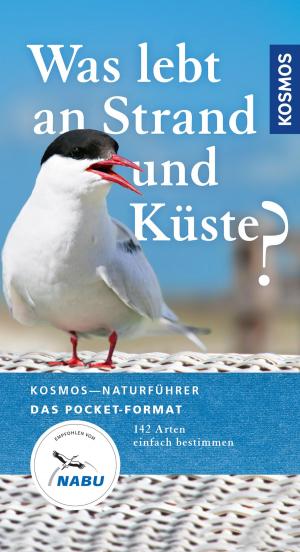 Book cover of Was lebt an Strand und Küste?