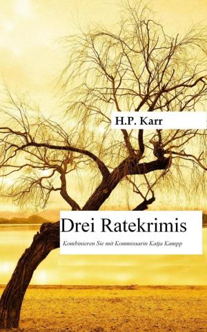 Cover of the book Drei Ratekrimis by Carl Ruemler, Kenneth Stevens