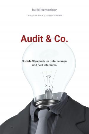 Cover of the book bwlBlitzmerker: Audit & Co. by Bill Boyajian