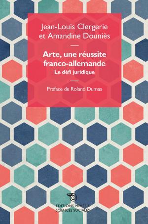 Cover of the book Arte, une réussite franco-allemande by Daniel Serceau