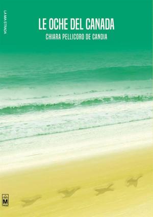 Cover of the book Le oche del Canada by Davide Rocco Colacrai