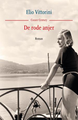 Cover of the book De rode anjer by Gerbrand Bakker