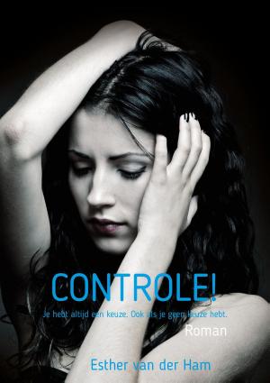 Cover of the book Controle! by Di Stefano E Gucciardino