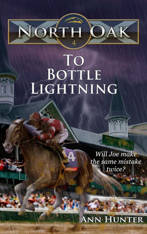 Cover of the book To Bottle Lightning by Ann Hunter, Aisling House, LLC