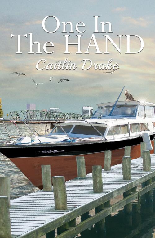 Cover of the book One in the Hand by Caitlin Drake, Bella Books