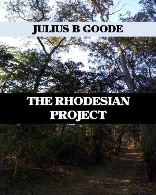 Cover of the book The Rhodesian Project by Julius B Goode, Julius B Goode