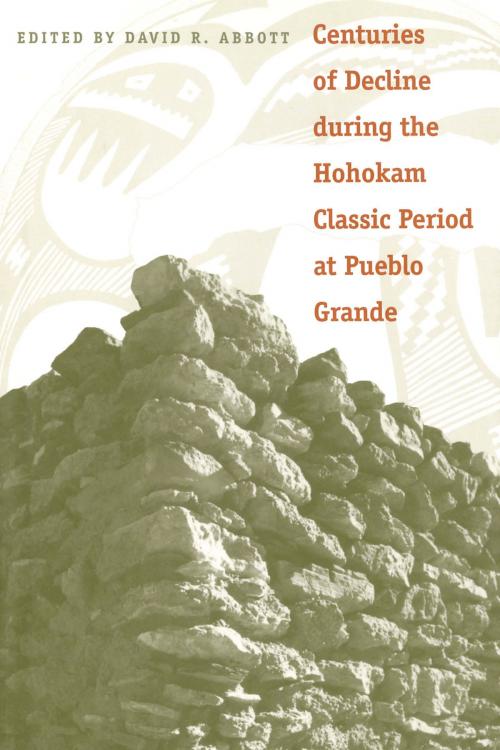 Cover of the book Centuries of Decline during the Hohokam Classic Period at Pueblo Grande by , University of Arizona Press