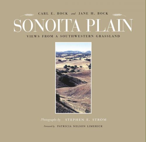 Cover of the book Sonoita Plain by Carl E. Bock, Jane H. Bock, Stephen E. Strom, University of Arizona Press