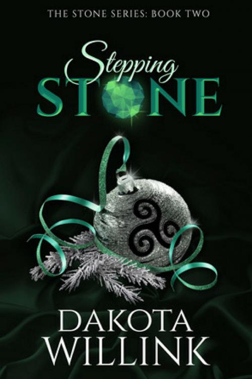 Cover of the book Stepping Stone by Dakota Willink, Dakota Willink, LLC