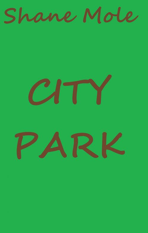Cover of the book City Park by Shane Mole, Shane Mole