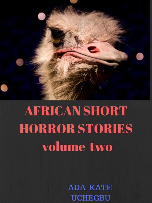 Cover of the book African Horror Stories (volume two) by Ada Kate Uchegbu, Ada Kate Uchegbu