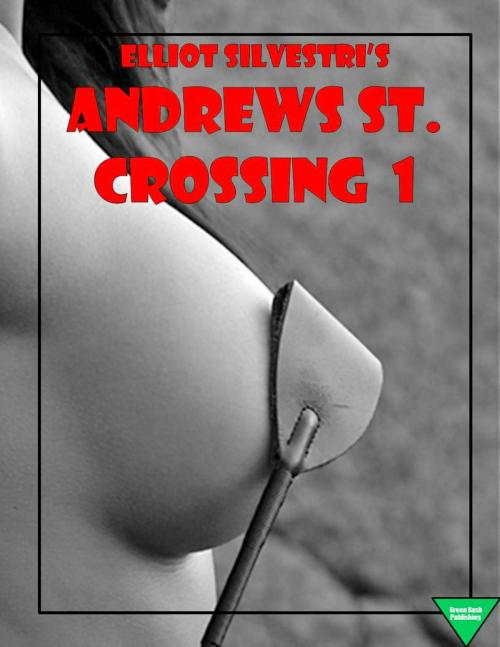 Cover of the book Andrews St. Crossing 1 by Elliot Silvestri, Elliot Silvestri