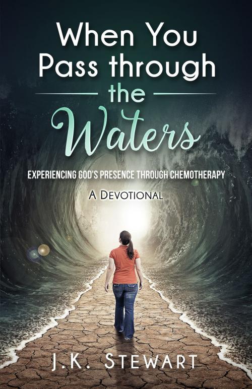 Cover of the book When You Pass through the Waters by J.K. Stewart, J.K. Stewart