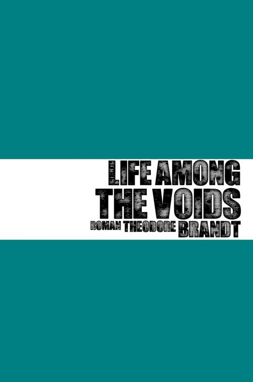 Cover of the book Life Among the Voids by Roman Theodore Brandt, Roman Theodore Brandt