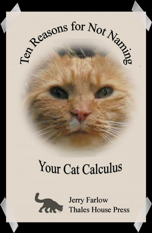 Cover of the book Ten Reasons for Not Naming Your Cat Calculus by Jerry Farlow, Jerry Farlow