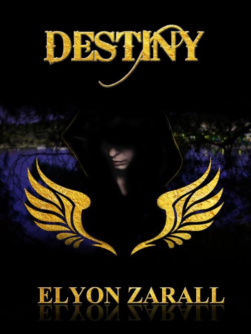 Cover of the book Destiny by Elyon Zarall, Elyon Zarall