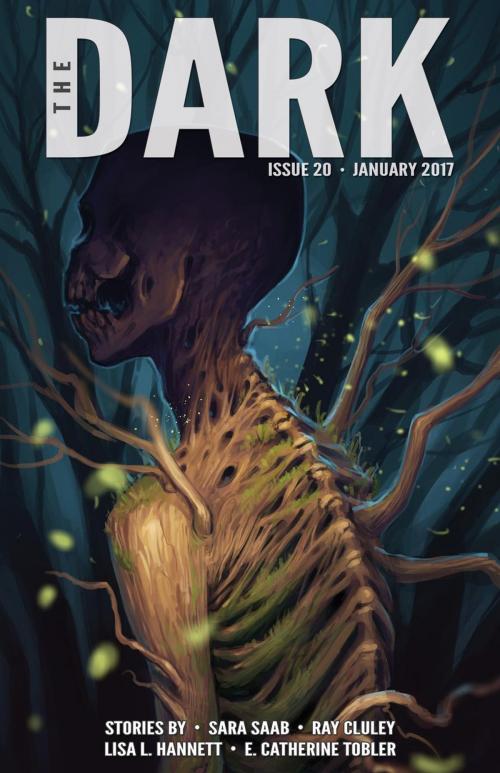 Cover of the book The Dark Issue 20 by Sara Saab, Ray Cluley, Lisa L. Hannett, E. Catherine Tobler, Prime Books