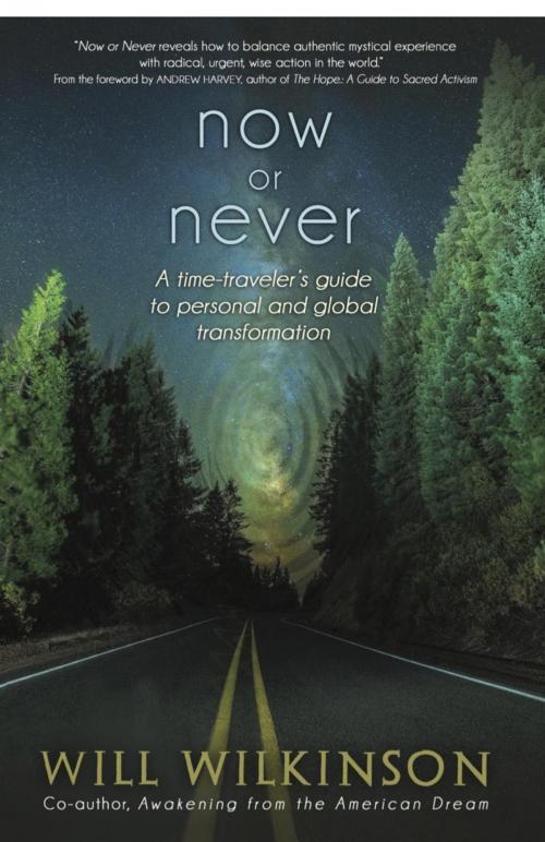 Cover of the book Now or Never by Will Wilkinson, Natural Wisdom Press