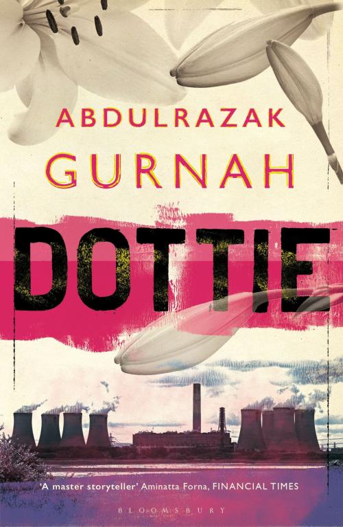 Cover of the book Dottie by Abdulrazak Gurnah, Bloomsbury Publishing