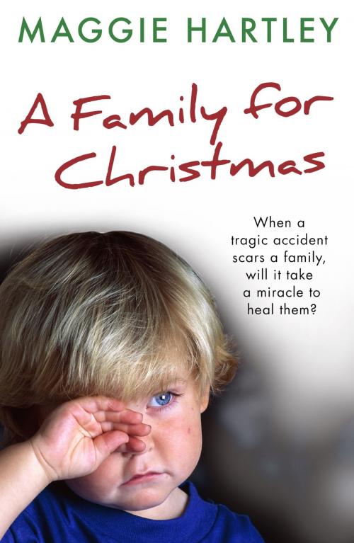 Cover of the book A Family For Christmas by Maggie Hartley, Orion Publishing Group